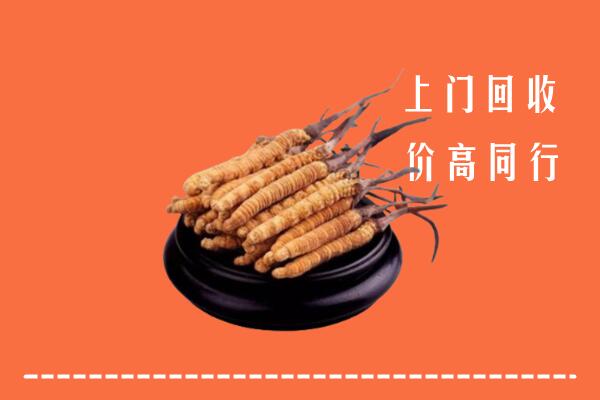 高价求购：自贡回收散虫草