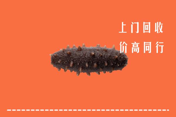 自贡回收海参