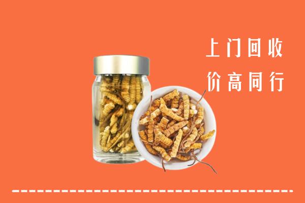 自贡回收冬虫夏草